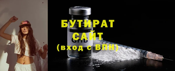 сатива Гусев