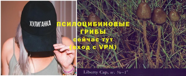 гидропоника Арсеньев