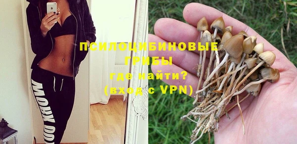 гидропоника Арсеньев