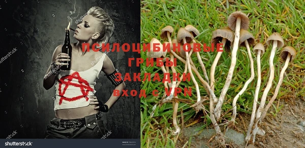 винт Аркадак