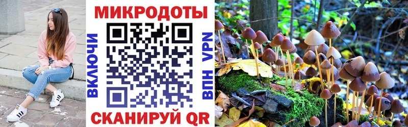 Псилоцибиновые грибы мухоморы  Инсар 